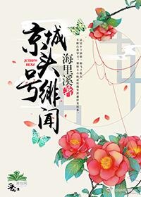 京城头号绯闻小说封面